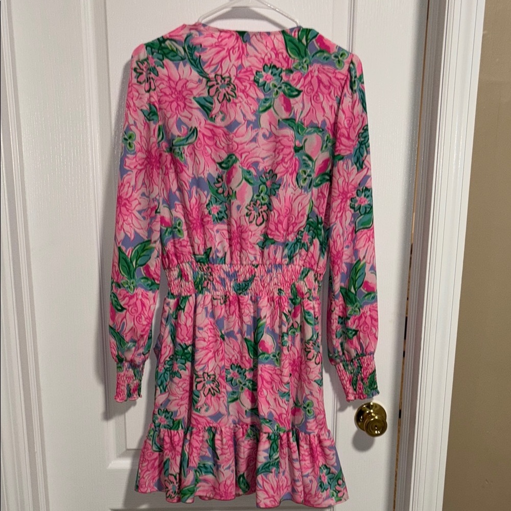 LIKE NEW! Lilly Pulitzer Cristiana Dress! - Picture 6 of 14